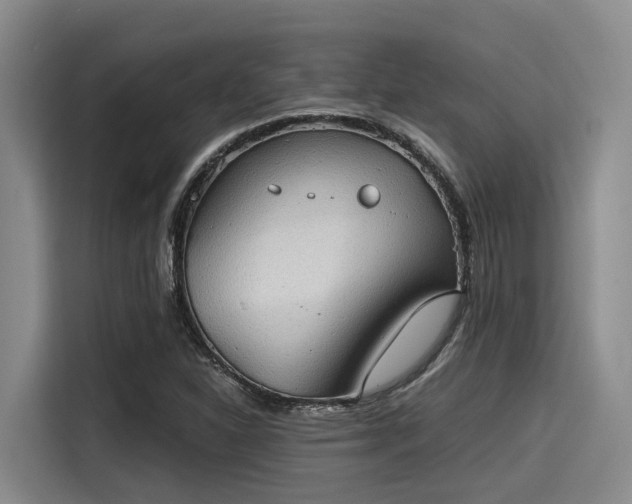 X0000115411310200911101603