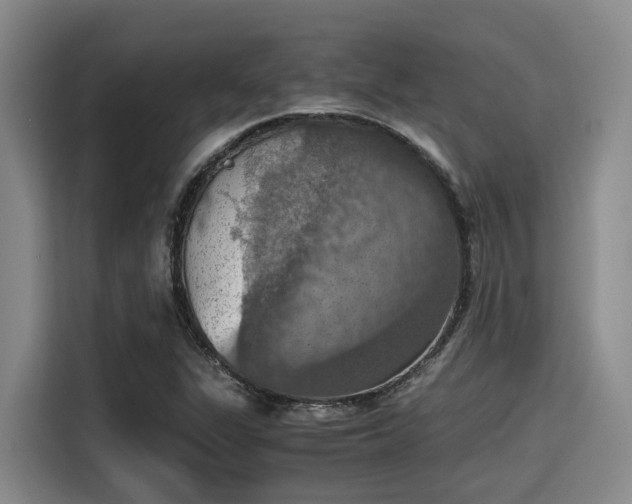 X0000115411311200911101603