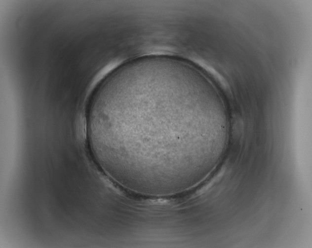 X0000115411317200911101603