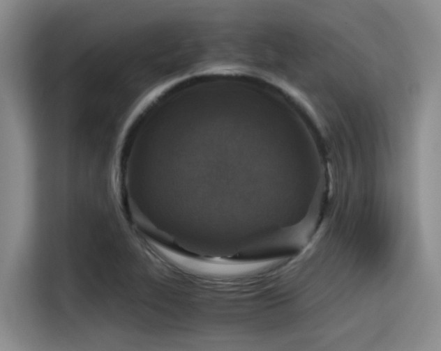 X0000115411319200911101603