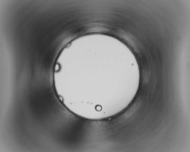 X0000115411322200911101603