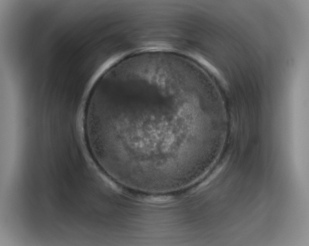 X0000115411325200911101603