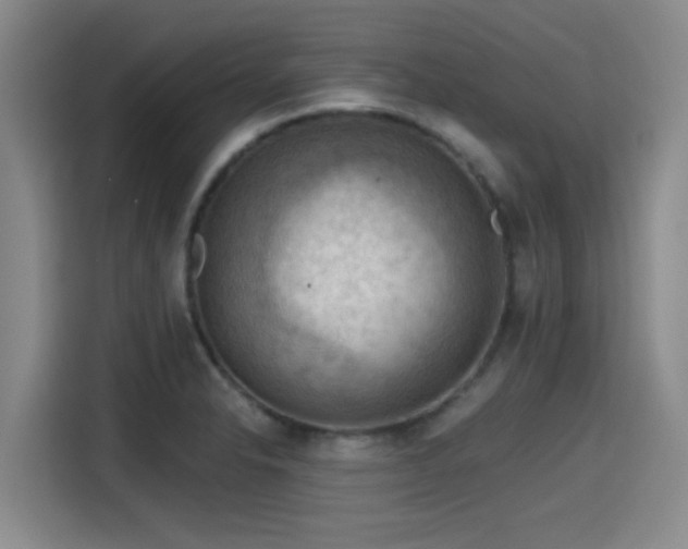 X0000115411326200911101603