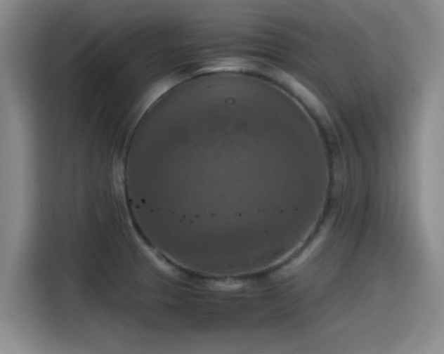 X0000115411329200911101604