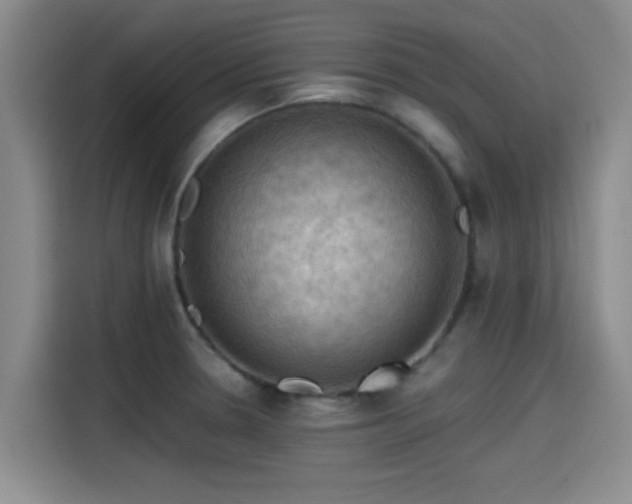 X0000115411330200911101604