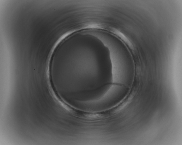 X0000115411331200911101604