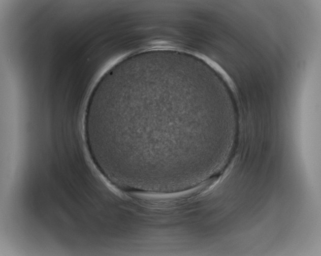 X0000115411333200911101604