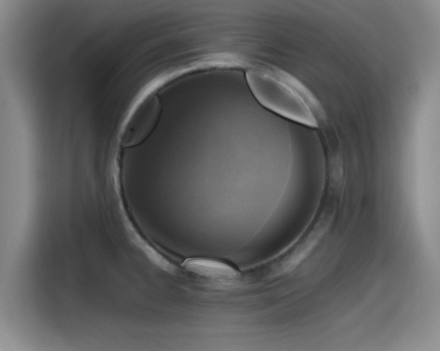 X0000115411334200911101604