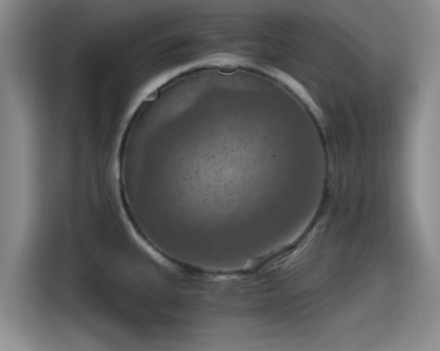 X0000115411335200911101604