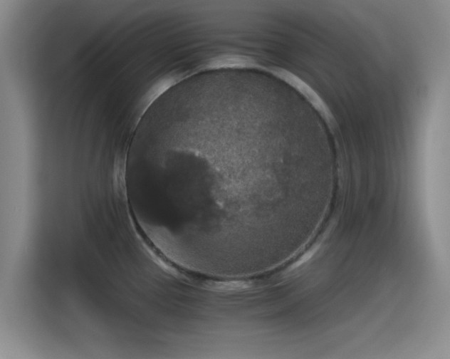 X0000115411337200911101604