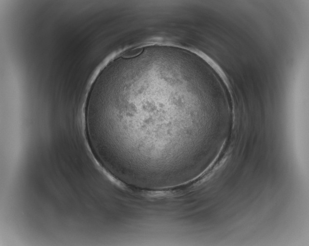 X0000115411341200911101604