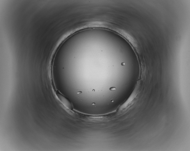 X0000115411342200911101604