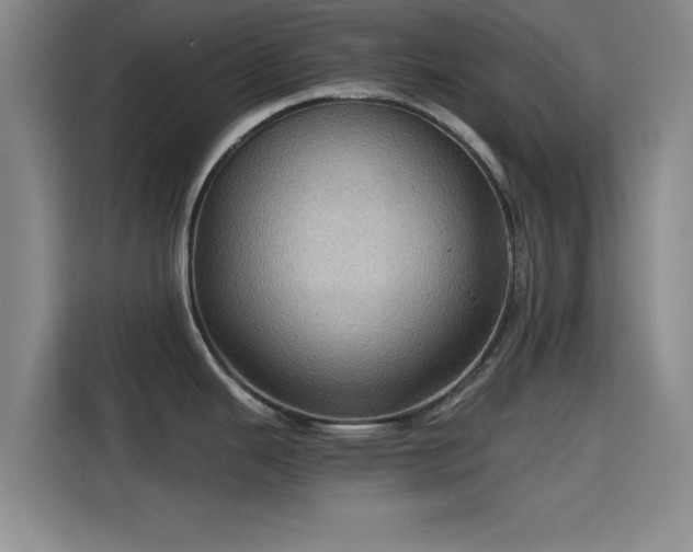 X0000115411343200911101604