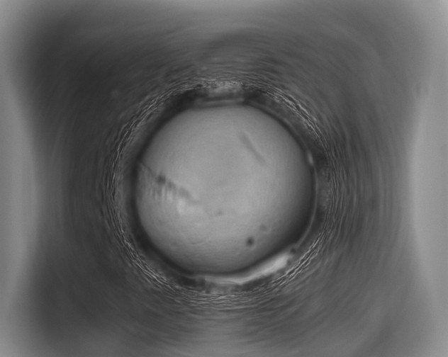 X0000115411345200911101603