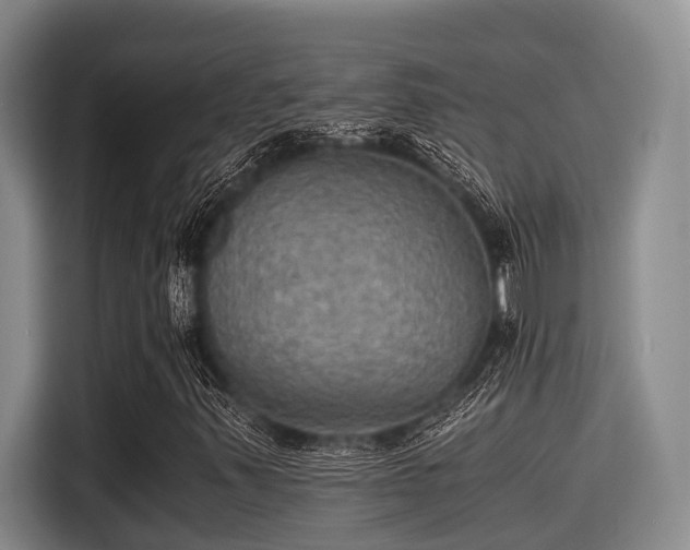 X0000115411347200911101603