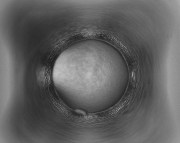 X0000115411348200911101603