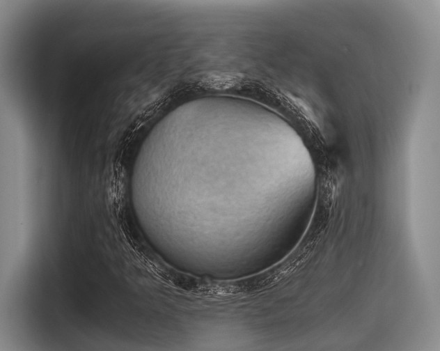 X0000115411349200911101603
