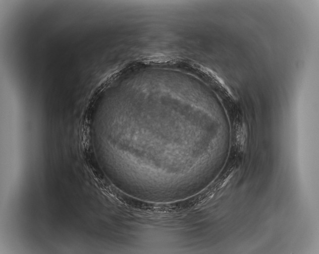 X0000115411350200911101603