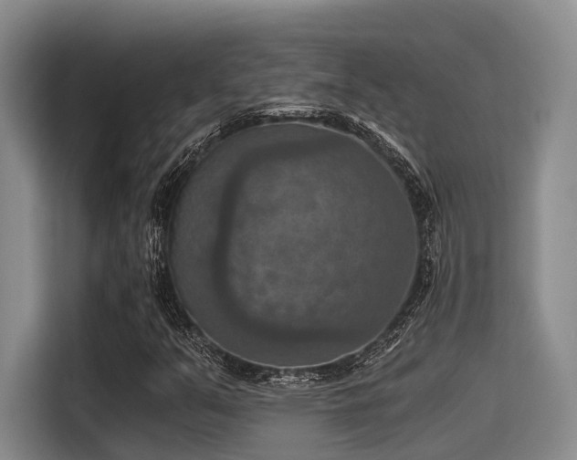 X0000115411351200911101603