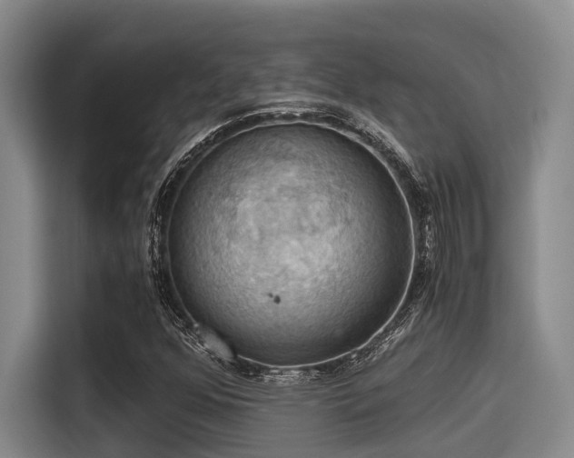 X0000115411352200911101603
