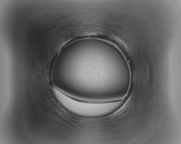 X0000115411353200911101603