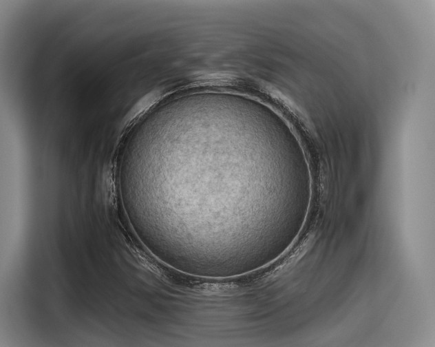 X0000115411354200911101603