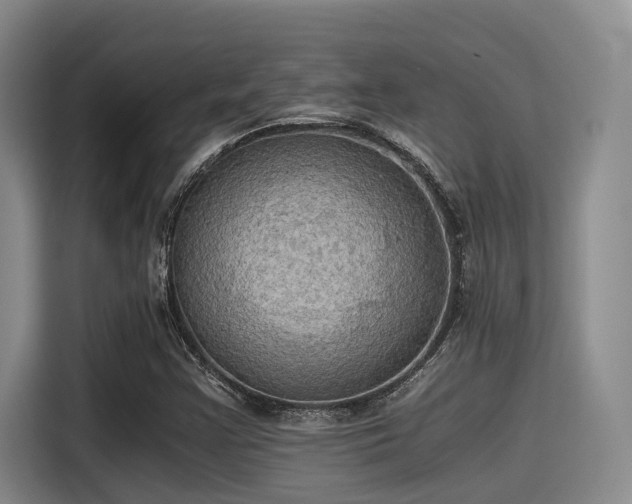 X0000115411355200911101603