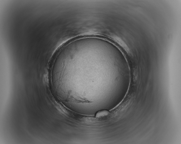 X0000115411356200911101603