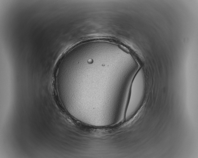X0000115411357200911101603