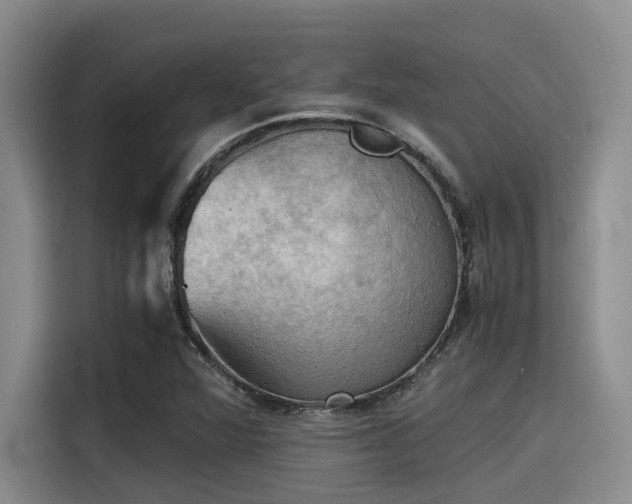 X0000115411360200911101603