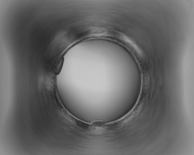 X0000115411361200911101603
