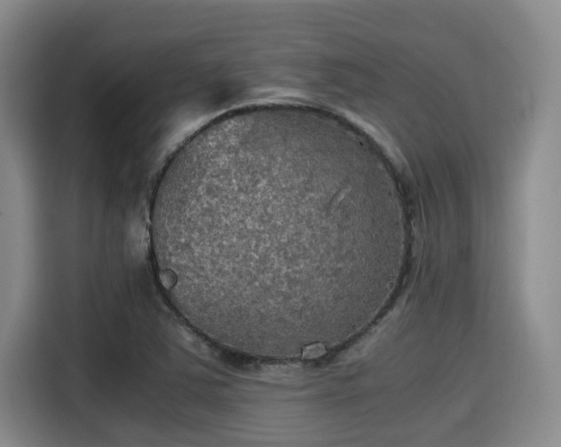 X0000115411363200911101603
