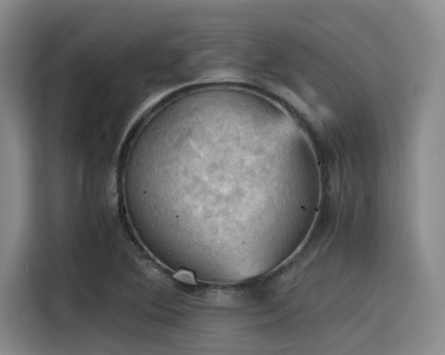 X0000115411364200911101603