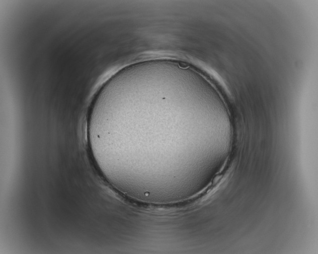 X0000115411365200911101603