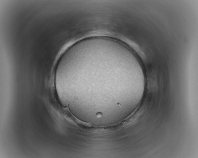 X0000115411366200911101603