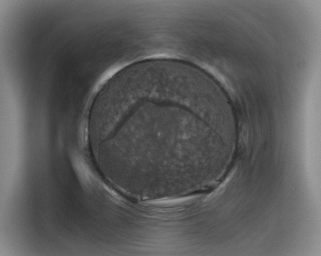 X0000115411367200911101603