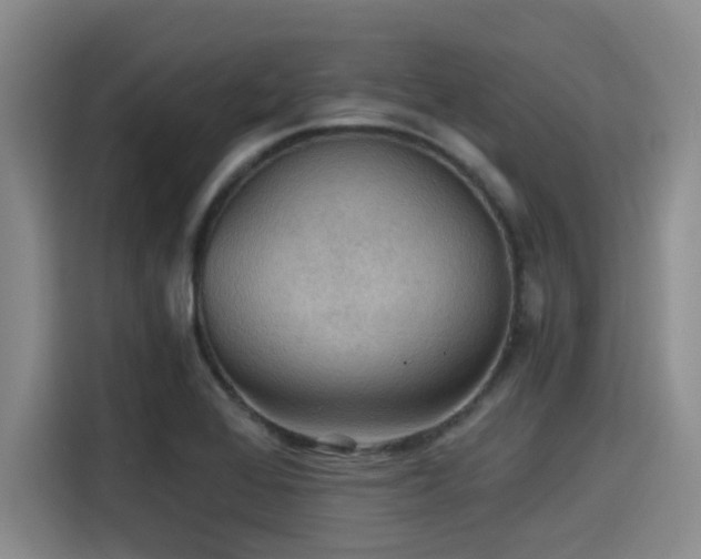 X0000115411368200911101603