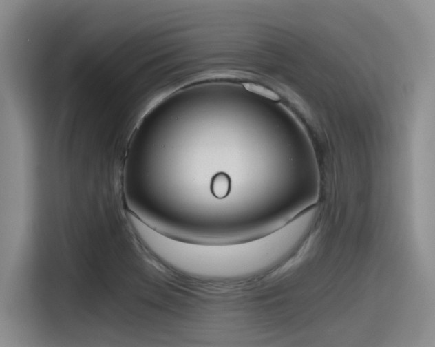 X0000115411369200911101603