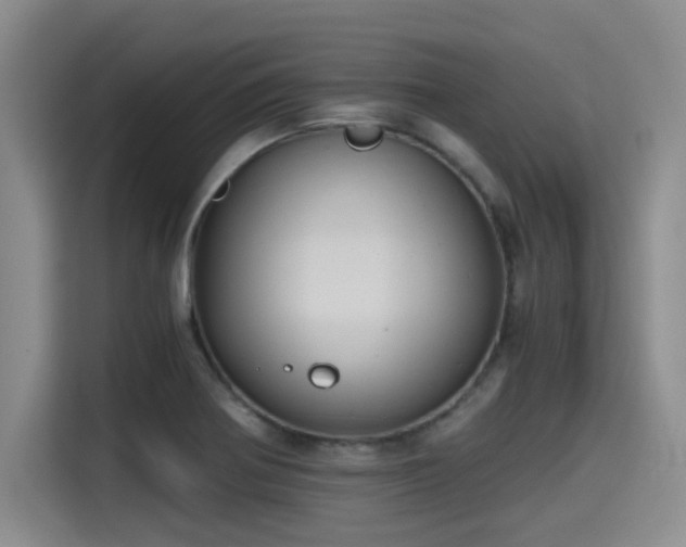 X0000115411370200911101603