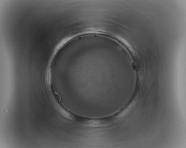 X0000115411371200911101603