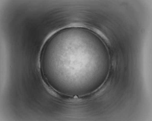 X0000115411372200911101603