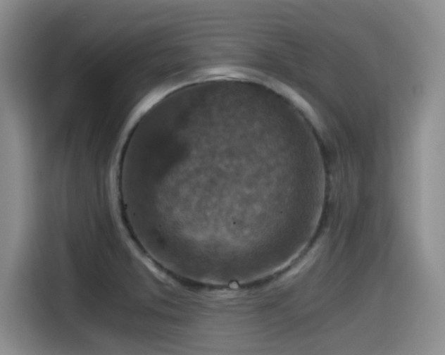 X0000115411373200911101603