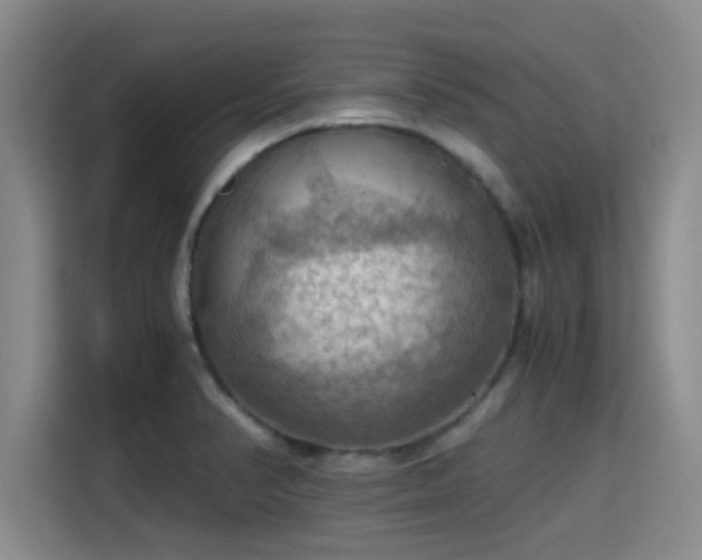X0000115411374200911101603