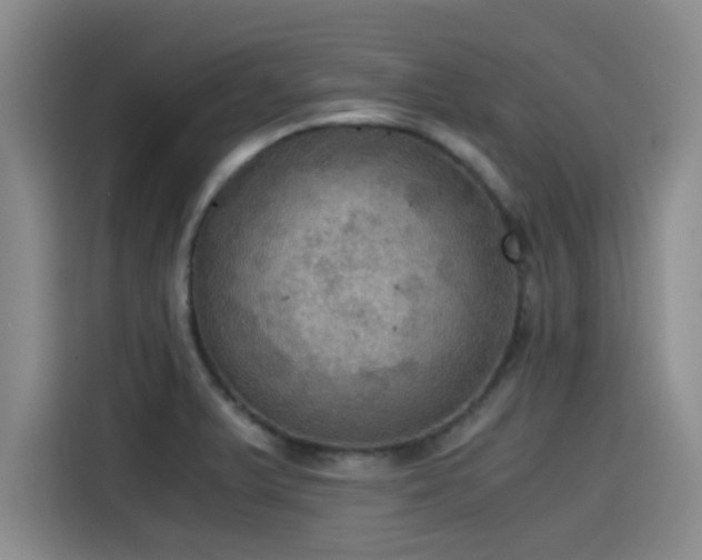 X0000115411375200911101603