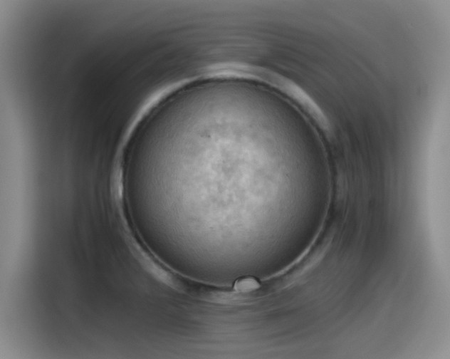 X0000115411376200911101603