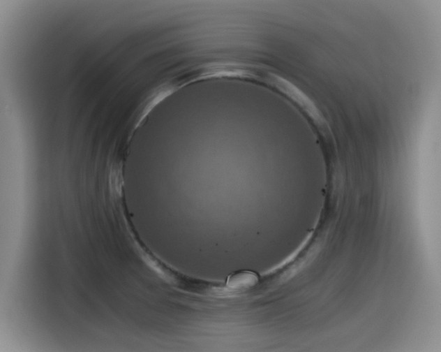 X0000115411377200911101603