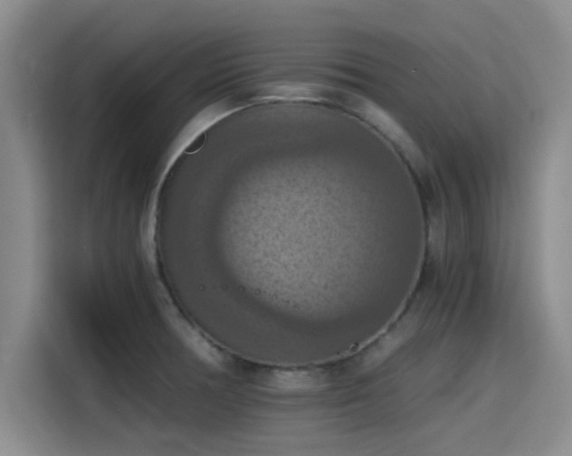 X0000115411378200911101603