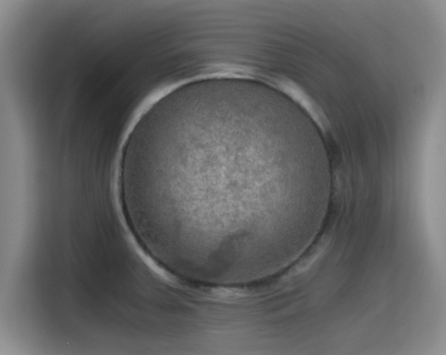 X0000115411379200911101603