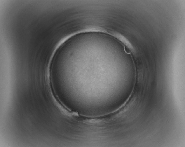 X0000115411380200911101603
