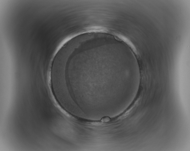 X0000115411383200911101603